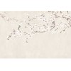 Honpo | Orient Sky